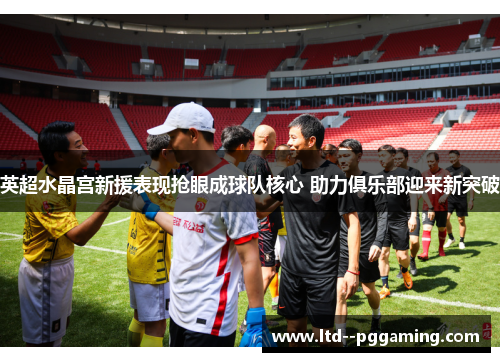 英超水晶宫新援表现抢眼成球队核心 助力俱乐部迎来新突破