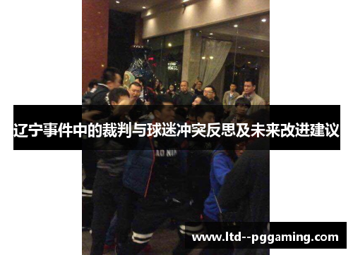 辽宁事件中的裁判与球迷冲突反思及未来改进建议