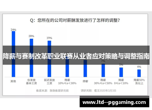 降薪与赛制改革职业联赛从业者应对策略与调整指南