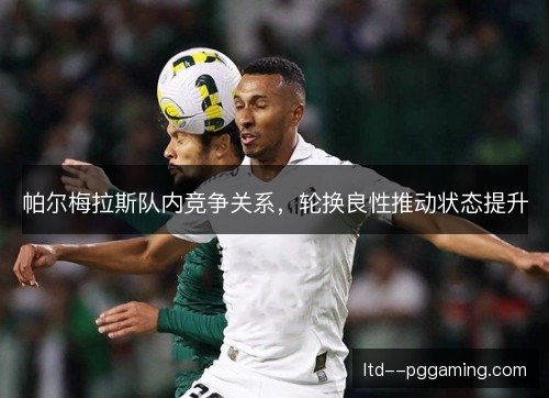帕尔梅拉斯队内竞争关系，轮换良性推动状态提升